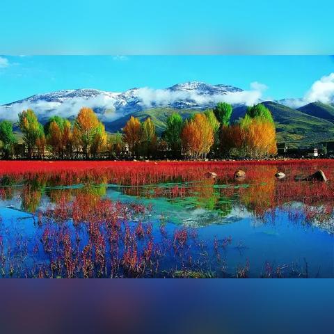 《星之海洋神圣力量》高效刷金攻略：快速提升财富秘籍