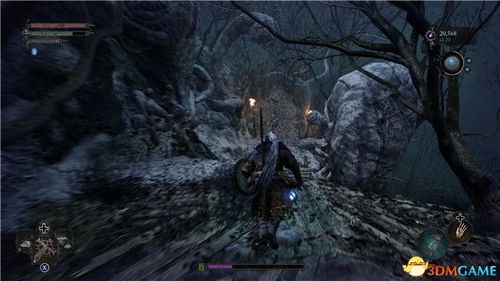 《堕落之主》攻略：轻松破解虚伪面容，高效打法揭秘