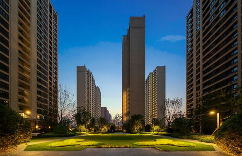 2025年星痕共鸣最强职业盘点：揭秘共鸣职业选择攻略