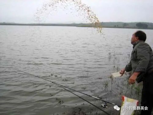 当市长粪水倒灌、钓鱼佬空军鱼烂怎么办?五款模拟类游戏推荐来了