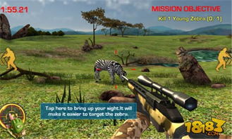 《荒野猎人》炮影蜘蛛新样式攻略！狩猎路线全解析