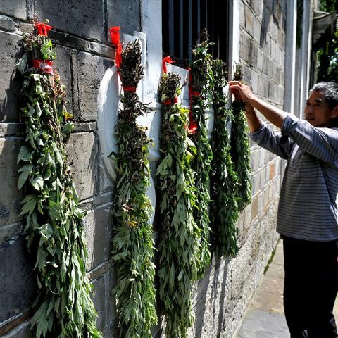 1. 端午追忆：8款历史韵味浓重游戏盘点
2. 端午节特别篇：探寻8款历史游戏魅力
3. 端午佳节，重温8款历史游戏经典瞬间
4. 端午节后，这8款历史游戏让你穿越时空
5. 端午节特别推荐：8款历史游戏带你领略历史风华
6. 端午节特别策划：8款历史游戏，穿越历史长河
7. 端午节必玩清单：8款历史游戏，感受历史魅力
8. 端午节特别献上：8款历史游戏，重温历史记忆