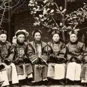 《见证者》迷宫评测：揭秘神秘世界，IGN深度解析