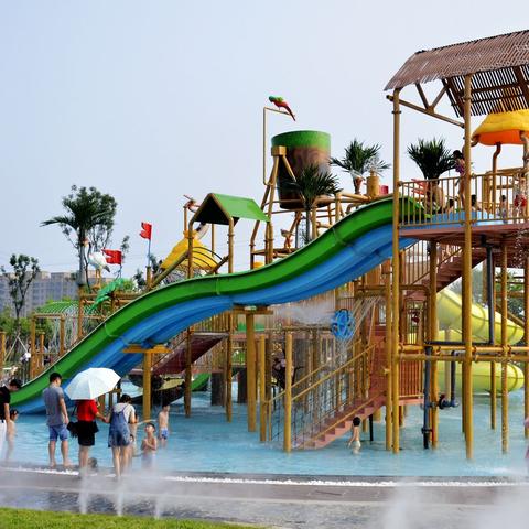 《2008北京奥运吊环项目：揭秘赛场上的惊心动魄》