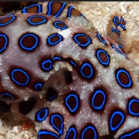 《致命解药》一命速通攻略：高效技巧全解析