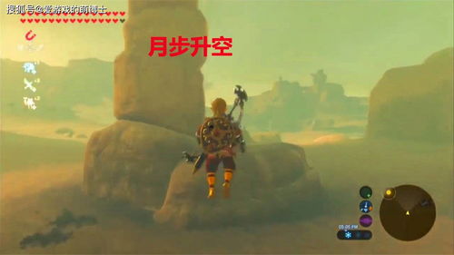 《塞尔达传说：泪海鲸骨攻略》