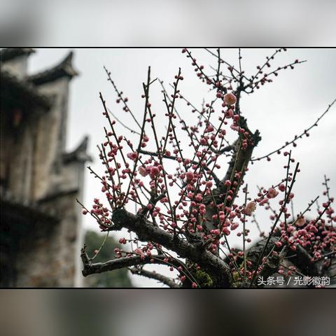 黑暗之魂病村场景只用十块木头素材?咋做到的！