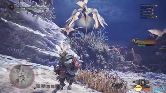 《怪物猎人：世界》珊瑚高地9分钟演示：惊险对决，揭秘神秘高地！