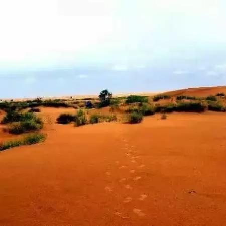 《光与影33号》无尽楼全攻略：高效收集秘籍曝光