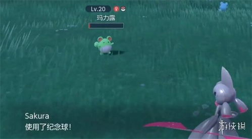 《宝可梦朱紫》刷野闪攻略：高效刷野技巧揭秘