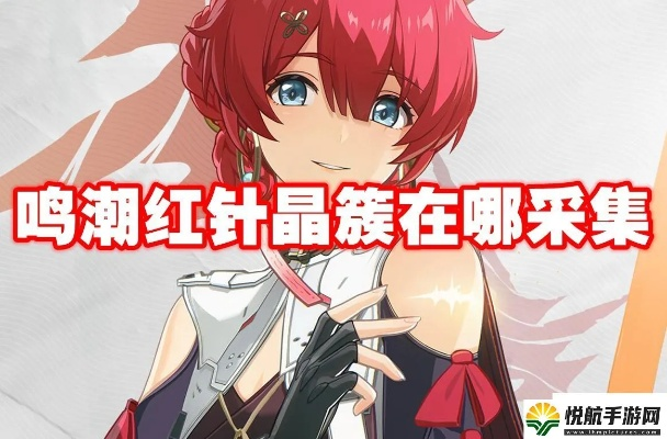 《鸣潮》红针晶簇高效采集攻略，快速获取材料！