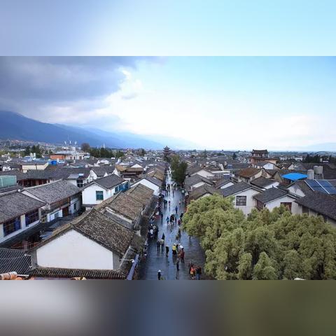 《风花雪月》全布告栏任务攻略：高效通关秘籍大公开