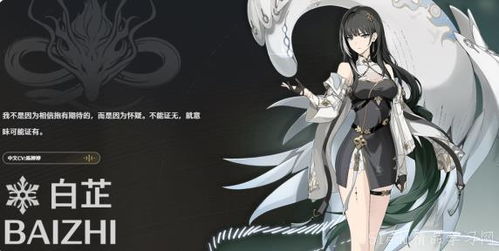 《鸣潮炽霞培养全攻略：声骸搭配技巧揭秘》