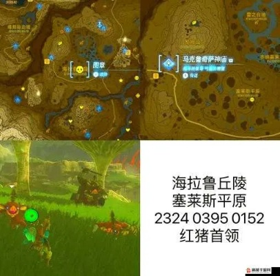 《塞尔达传说》米多娜王冠获取秘籍！快速解锁攻略！