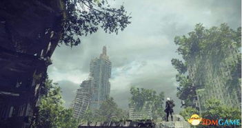 《尼尔机械纪元》结局揭秘：深度解析开发背景与剧情精髓