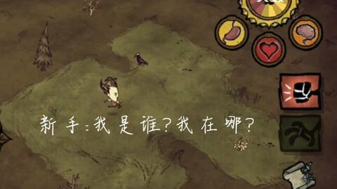 《饥荒》萌妹生存技巧揭秘：新手必看攻略，轻松升级！