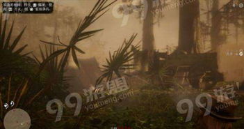 《荒野大镖客2》墓碑分布攻略：揭秘隐藏宝藏点