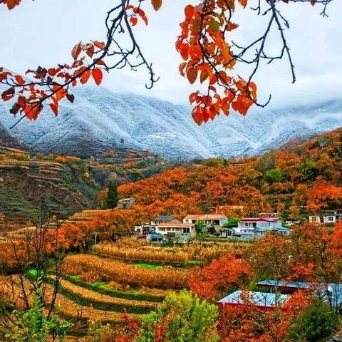 NBA2K11独家攻略：高效操作技巧解锁篮球盛宴