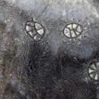 《梦之形》新版本揭秘：探索未知领域，解锁全新冒险！