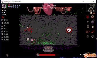 《以撒的结合胎衣》套装深度解析：必备效果一览，探索未知潜力！