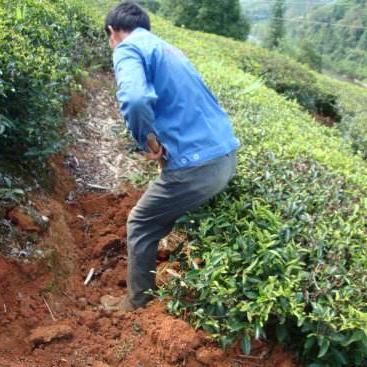 《淹没》剧情全解析攻略：深度揭秘全流程技巧，必看攻略！