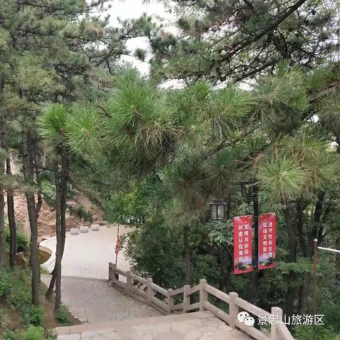 《晴空之下资源攻略：新手必看高效规划术》