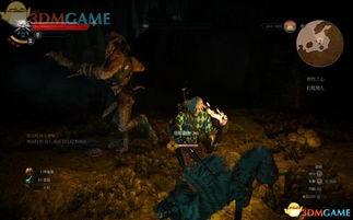 《巫师3》狼人攻略揭秘：高效狼人打法技巧全解析