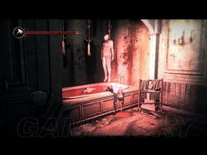 《恶灵附身》DLC箱怪一命通关攻略：揭秘高效通关技巧，助你轻松挑战！