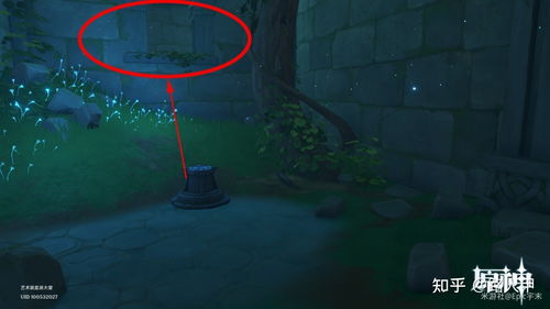 《原神2.1版宅邸秘境攻略：轻松通关秘籍大公开》