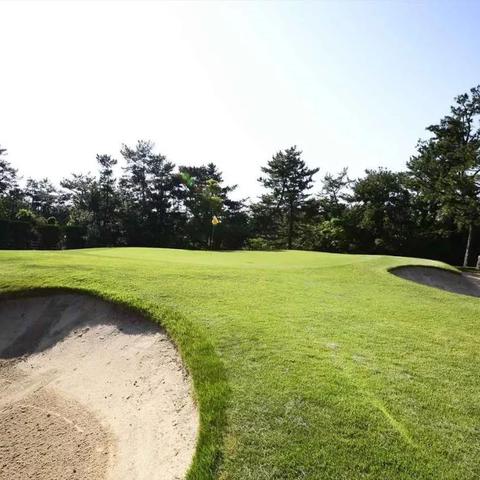 《堡垒之夜》地形攻略：巧妙运用地形轻松吃鸡技巧揭秘