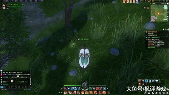 逆水寒攻略：轻松掌握碎红玉获取技巧，快速提升战力