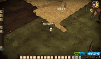 《饥荒》生存必备！独家食谱大揭秘，解锁食物制作新境界