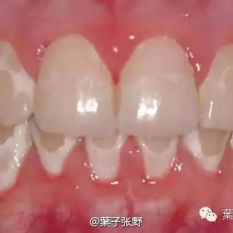 噩梦挑战攻略！《空之轨迹1st》结晶回路搭配技巧大揭秘