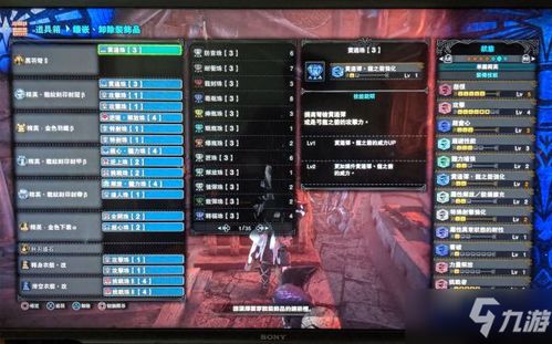 《怪物猎人崛起》曙光3.0轻弩物理贯通毕业攻略，轻松解锁最强装备！