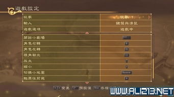 《神领编年史》全章节攻略揭秘：深度解析必胜秘籍！