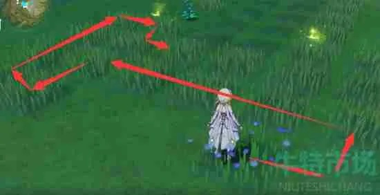 《原神》桓斯弥底苗圃解谜攻略：解锁12个神秘位置技巧分享