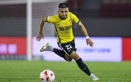 《FM2016》妖人精选：二十大潜力新星盘点，揭秘未来足球巨星！