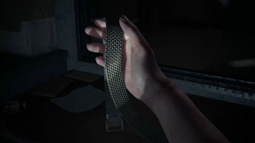 《最后生还者2》武器枪套获取攻略：解锁全装备秘籍大揭秘