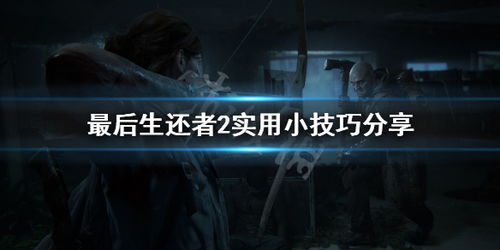 《最后生还者2》全零件及补充品攻略汇总，新手必看技巧解析