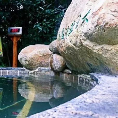 《异度之刃2》温泉剧情动画深度解析，揭秘隐藏剧情新亮点