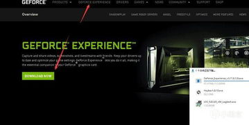 《绝地求生》显卡帧率对决：A卡与N卡性能大揭秘！