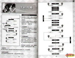 《红楼梦》剧情攻略：自扫图解析，深度解读必看秘籍