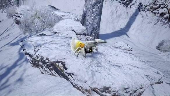 羊蹄山魂独门攻略：轻松获取蜘蛛陷阱武具秘籍