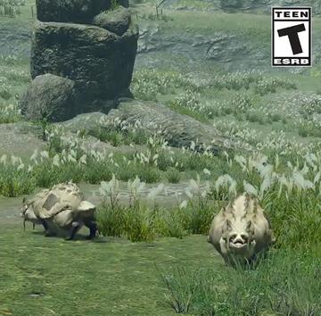 《怪物猎人崛起》曙光新环境生物解析：揭秘新生物分布与生态影响