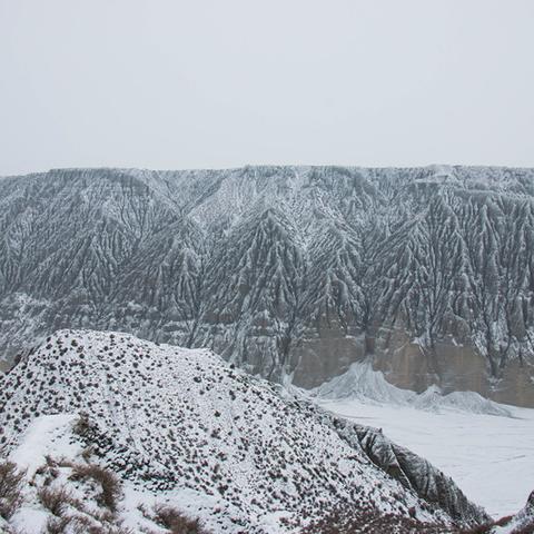 冬季计划攻略：新手必看！解锁游戏隐藏秘籍，畅玩冰雪世界