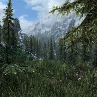 上古卷轴5天际MOD安装教程：轻松上手，畅玩MOD秘籍