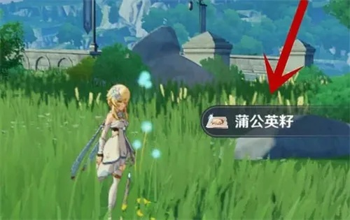 《原神》3.3版蒲公英籽高效采集攻略，快速上手！