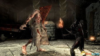 寂静岭F愿望单开启！日式恐怖来袭,你准备好挑战了吗?