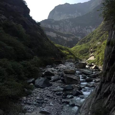 《绝区零》全关卡“注意脚下安全”攻略秘籍大公开