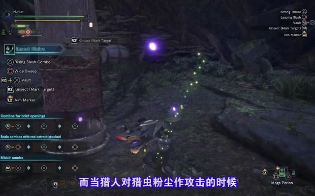 《荒野怪物猎人》操虫棍调查队：独家路线攻略揭秘